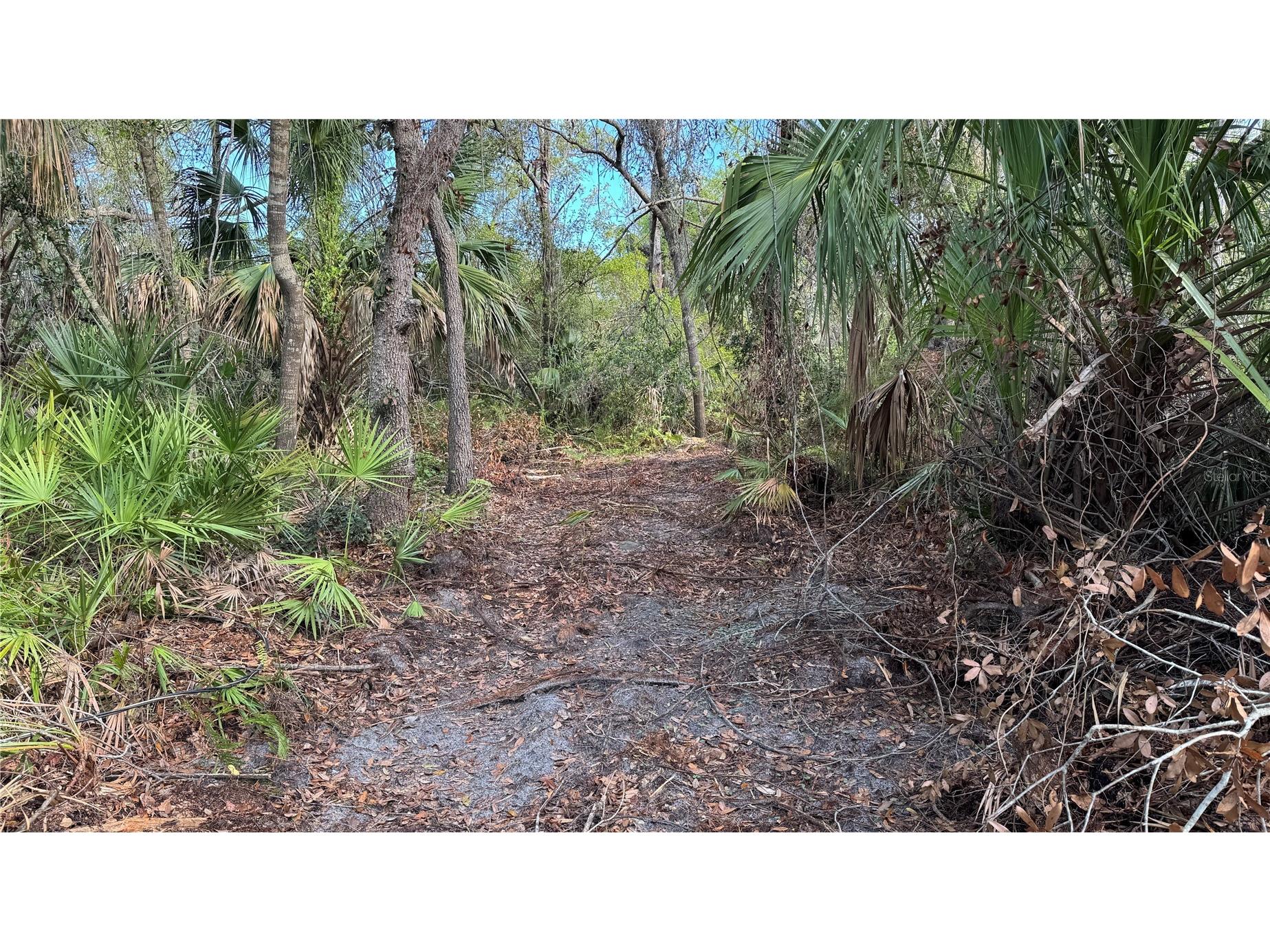 12807 Upper Manatee River Rd Bradenton FL 34212 - Mill Creek A4684752 image11