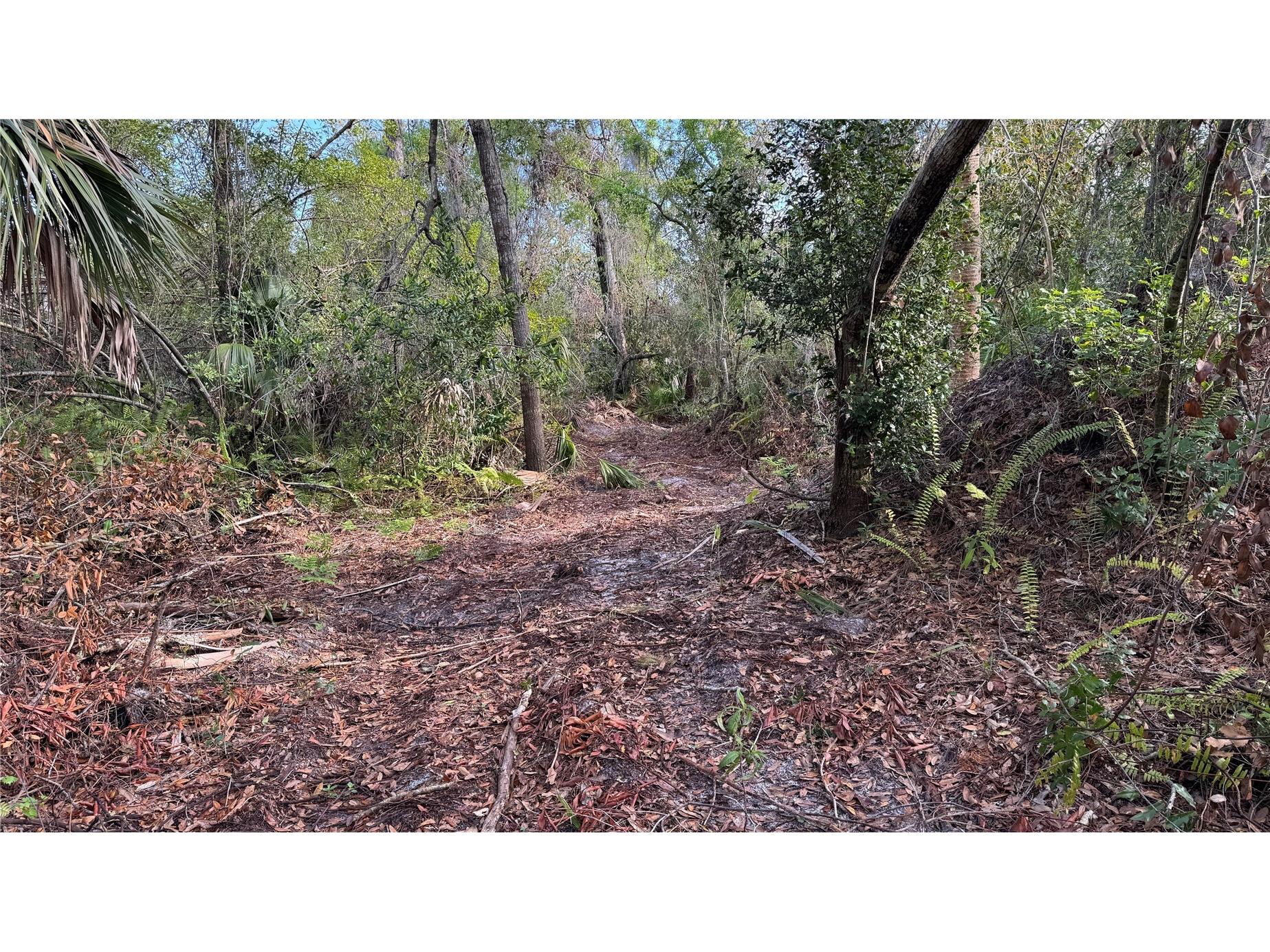 12807 Upper Manatee River Rd Bradenton FL 34212 - Mill Creek A4684752 image12