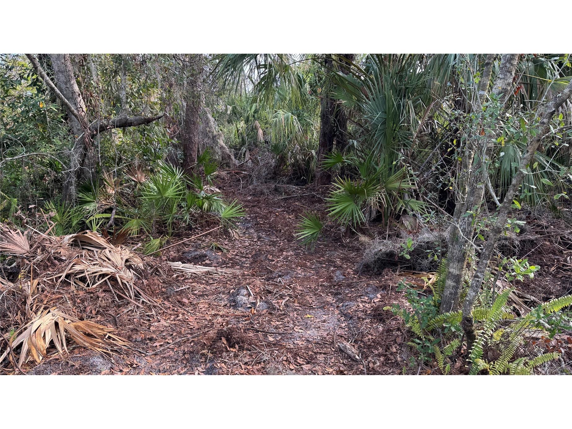 12807 Upper Manatee River Rd Bradenton FL 34212 - Mill Creek A4684752 image13