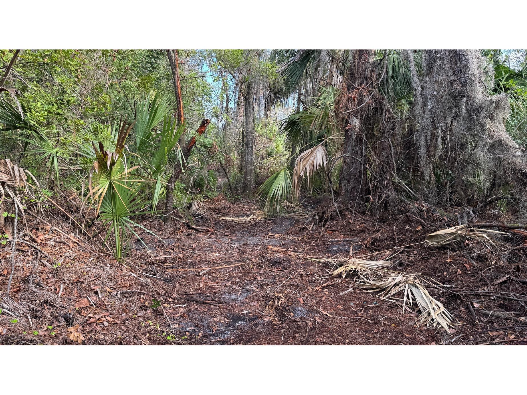 12807 Upper Manatee River Rd Bradenton FL 34212 - Mill Creek A4684752 image14