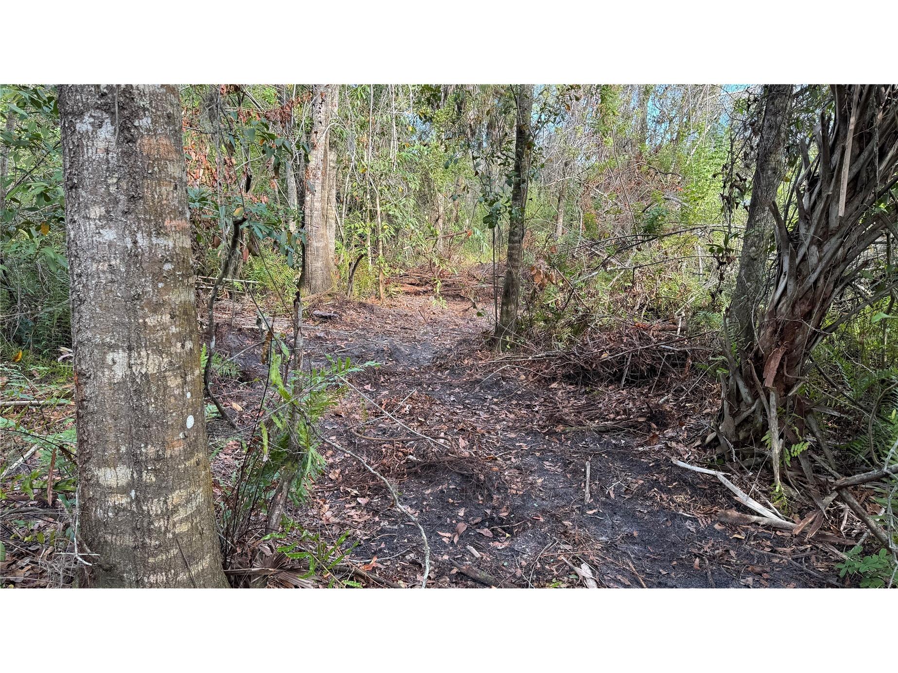 12807 Upper Manatee River Rd Bradenton FL 34212 - Mill Creek A4684752 image15