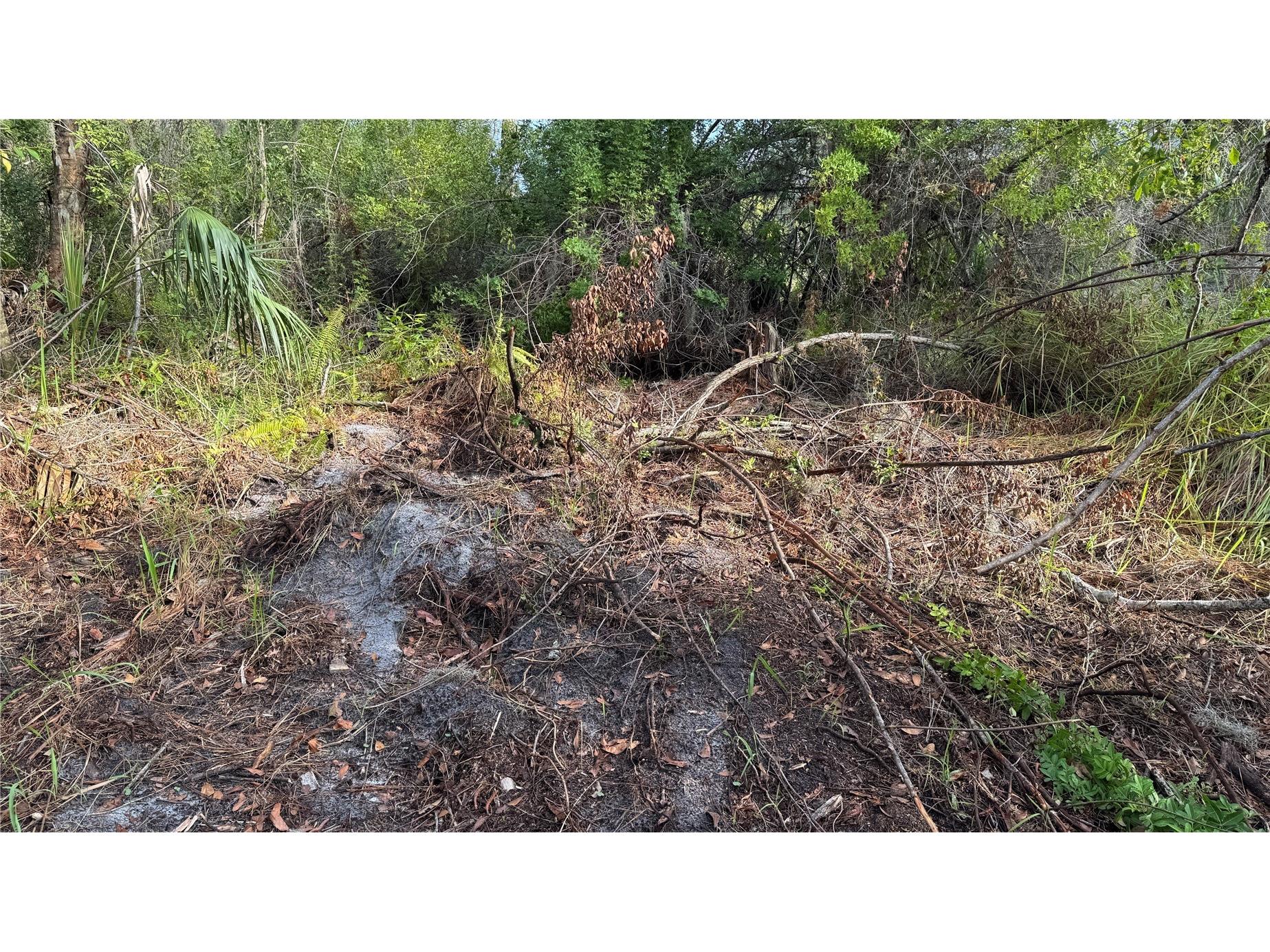12807 Upper Manatee River Rd Bradenton FL 34212 - Mill Creek A4684752 image16