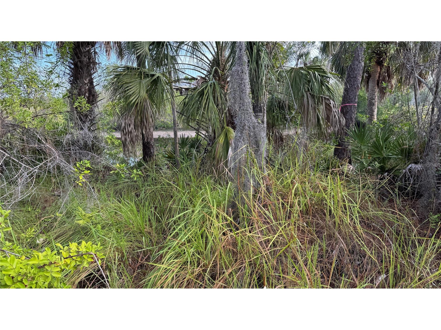 12807 Upper Manatee River Rd Bradenton FL 34212 - Mill Creek A4684752 image17