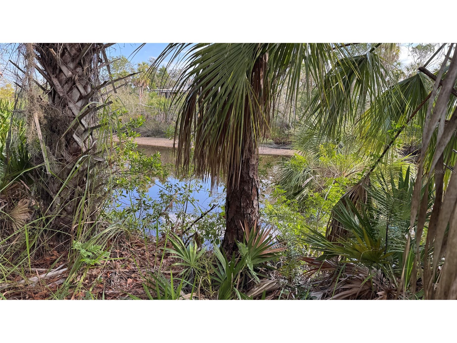 12807 Upper Manatee River Rd Bradenton FL 34212 - Mill Creek A4684752 image18