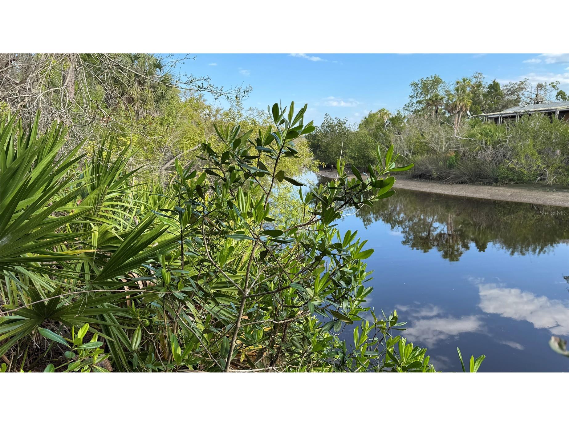 12807 Upper Manatee River Rd Bradenton FL 34212 - Mill Creek A4684752 image20
