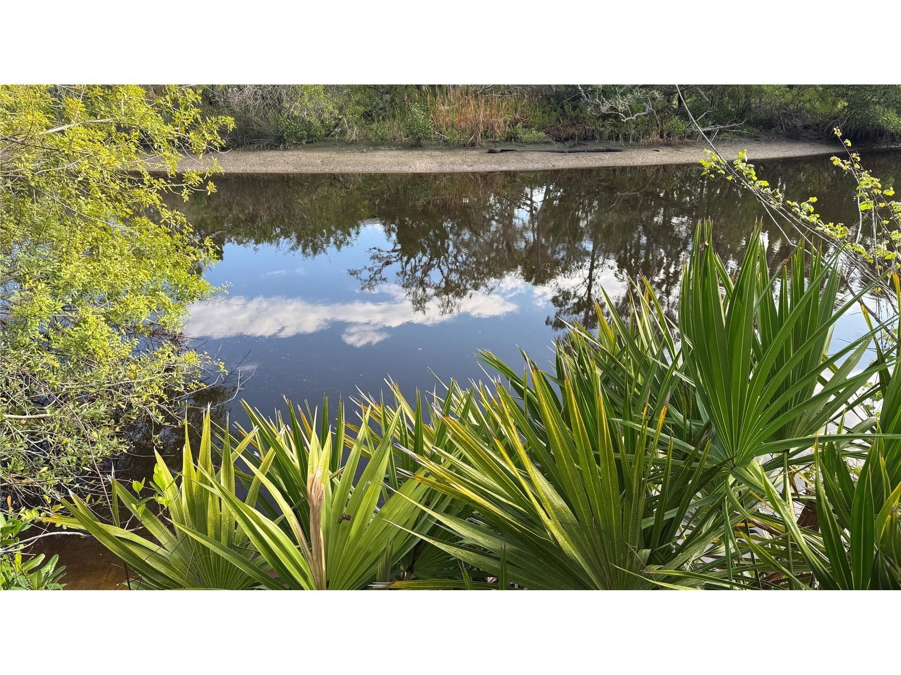 12807 Upper Manatee River Rd Bradenton FL 34212 - Mill Creek A4684752 image21