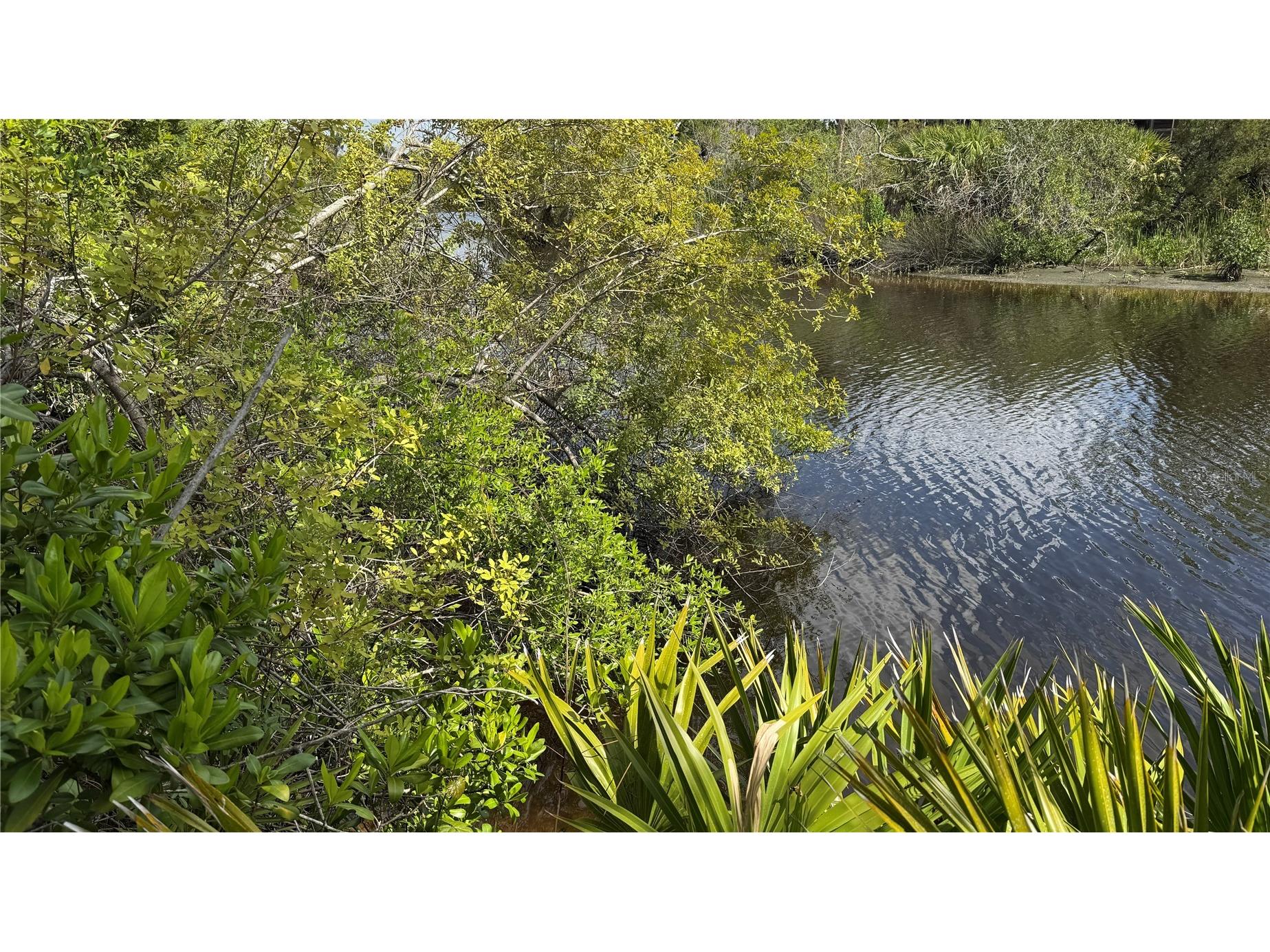 12807 Upper Manatee River Rd Bradenton FL 34212 - Mill Creek A4684752 image22