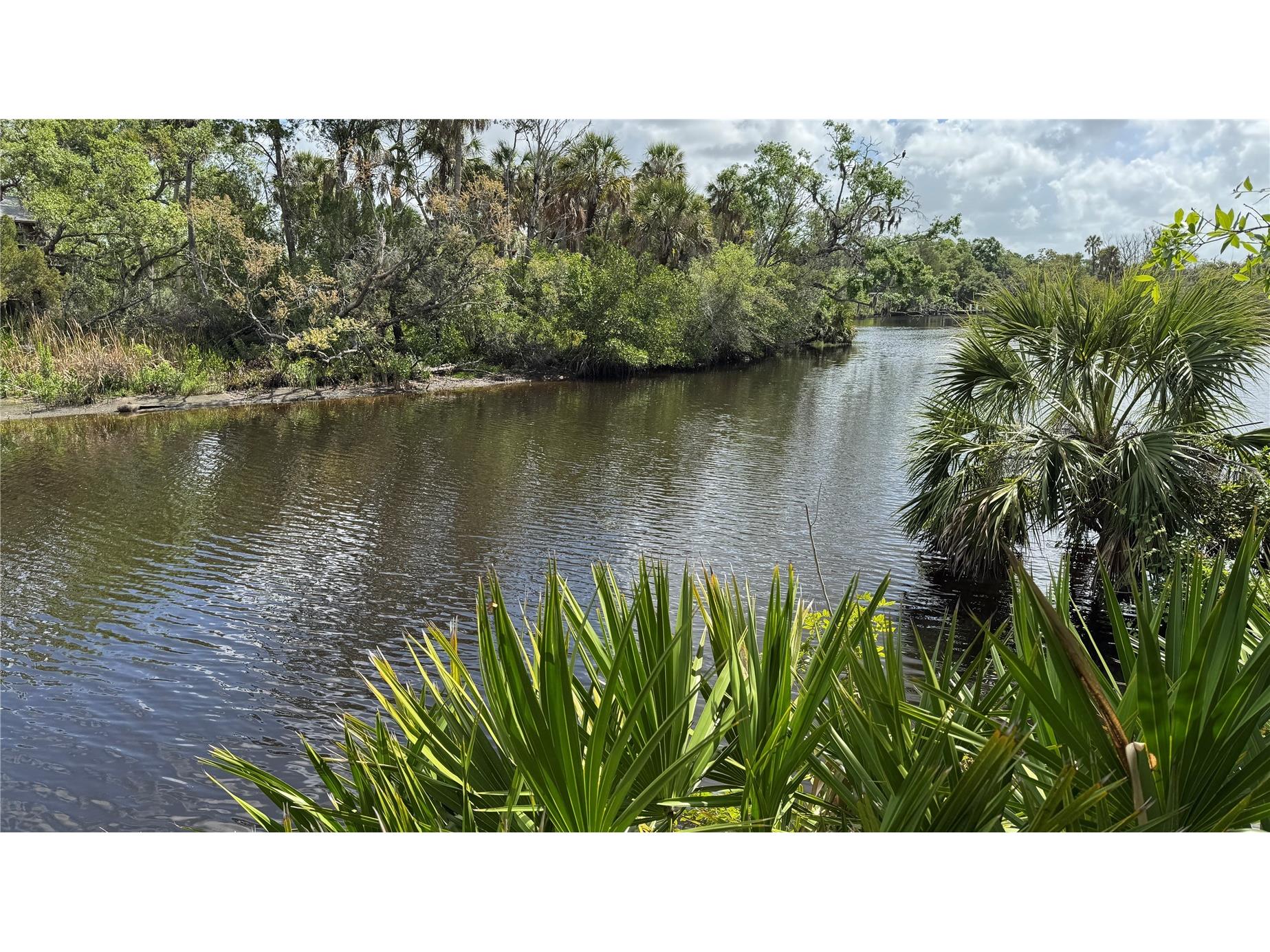 12807 Upper Manatee River Rd Bradenton FL 34212 - Mill Creek A4684752 image23