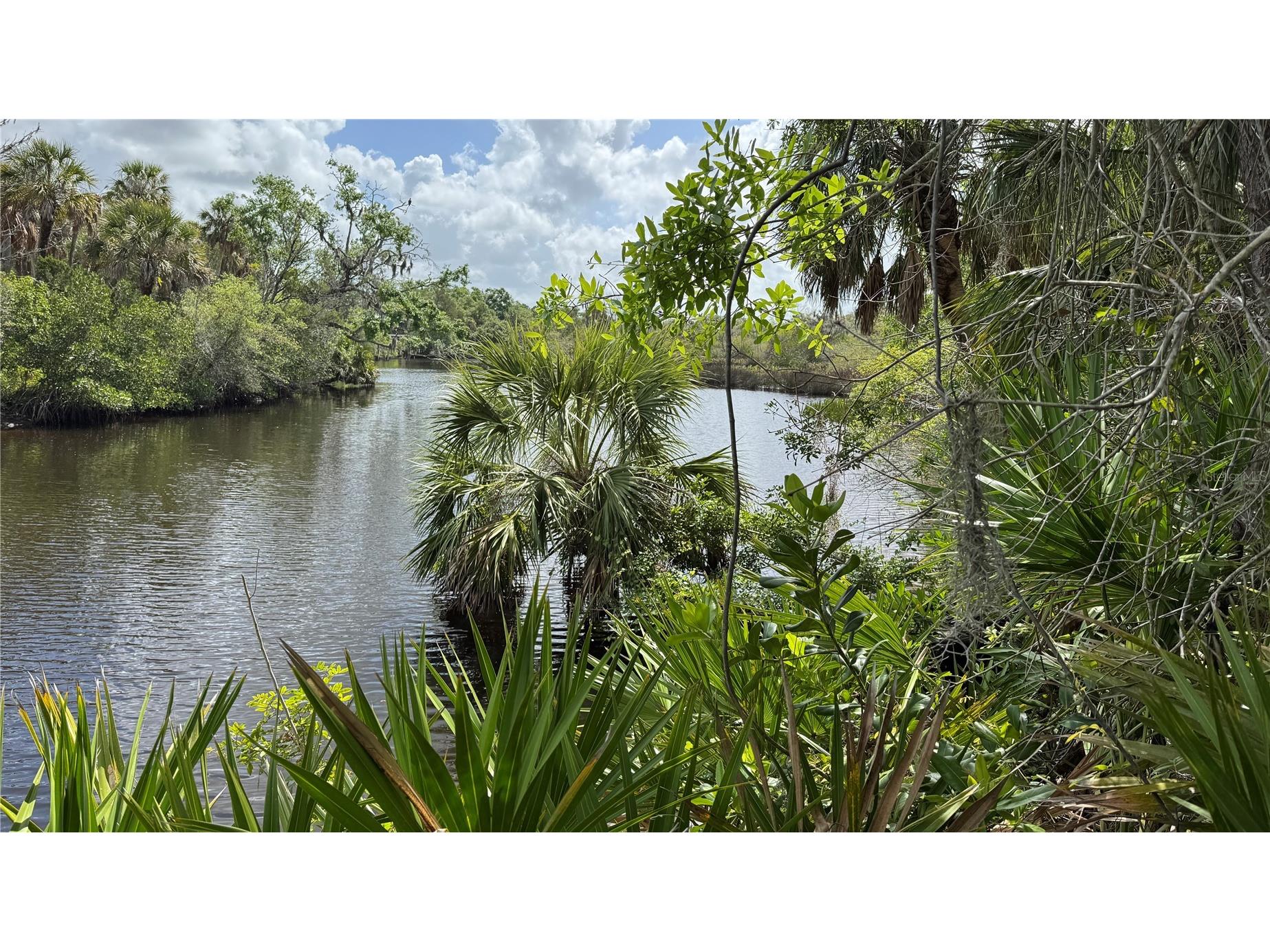 12807 Upper Manatee River Rd Bradenton FL 34212 - Mill Creek A4684752 image24