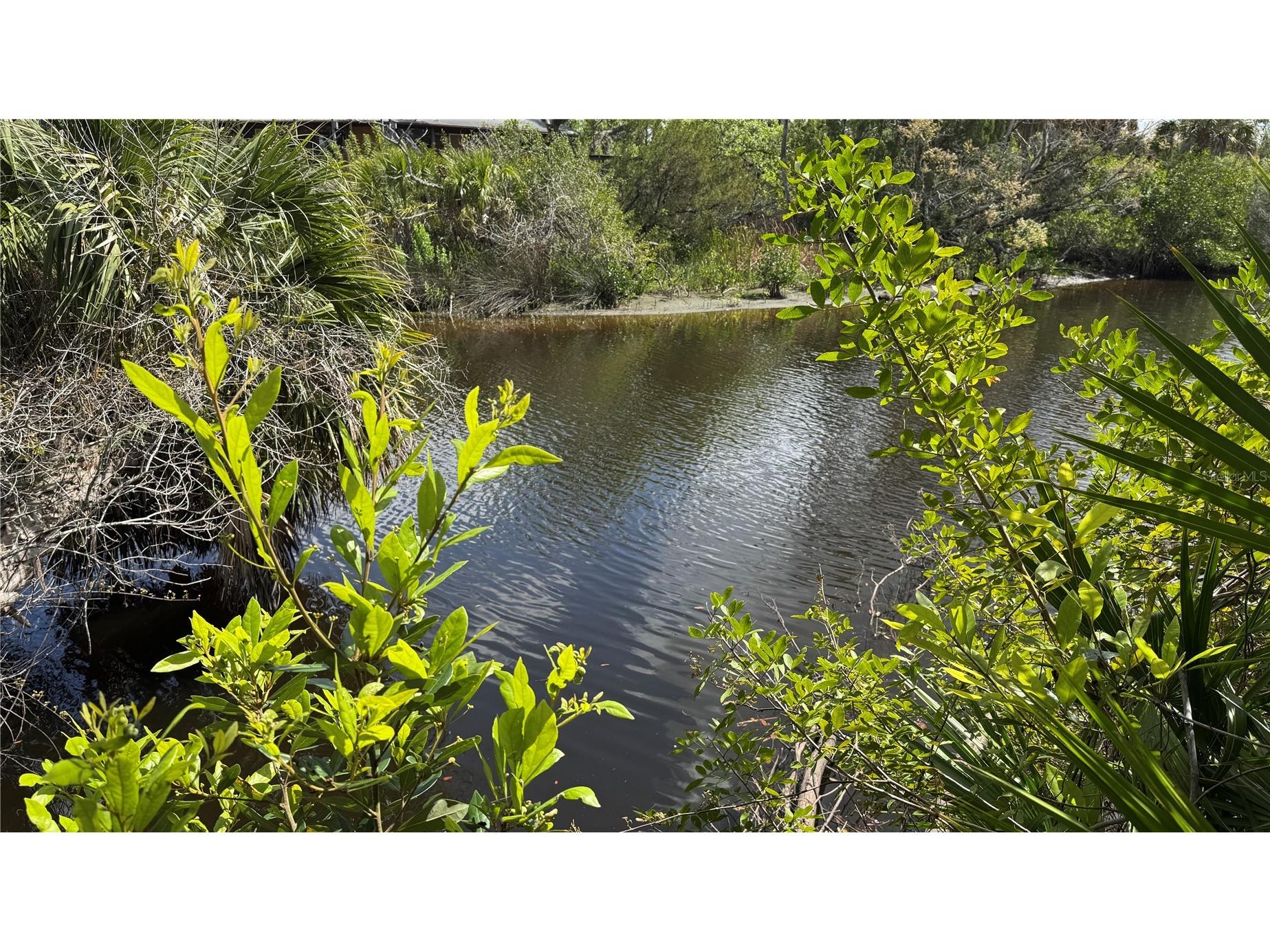 12807 Upper Manatee River Rd Bradenton FL 34212 - Mill Creek A4684752 image26