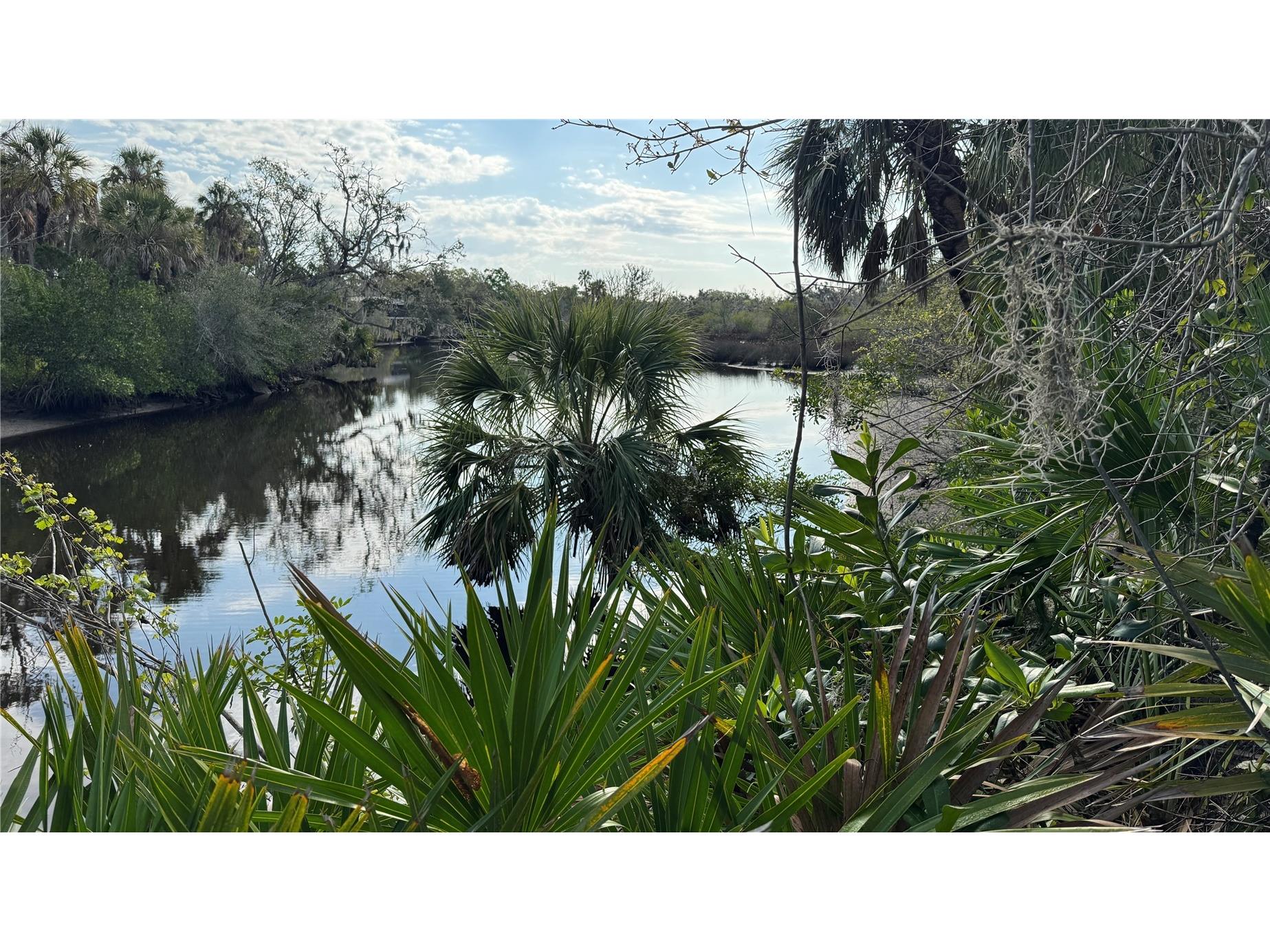 12807 Upper Manatee River Rd Bradenton FL 34212 - Mill Creek A4684752 image3