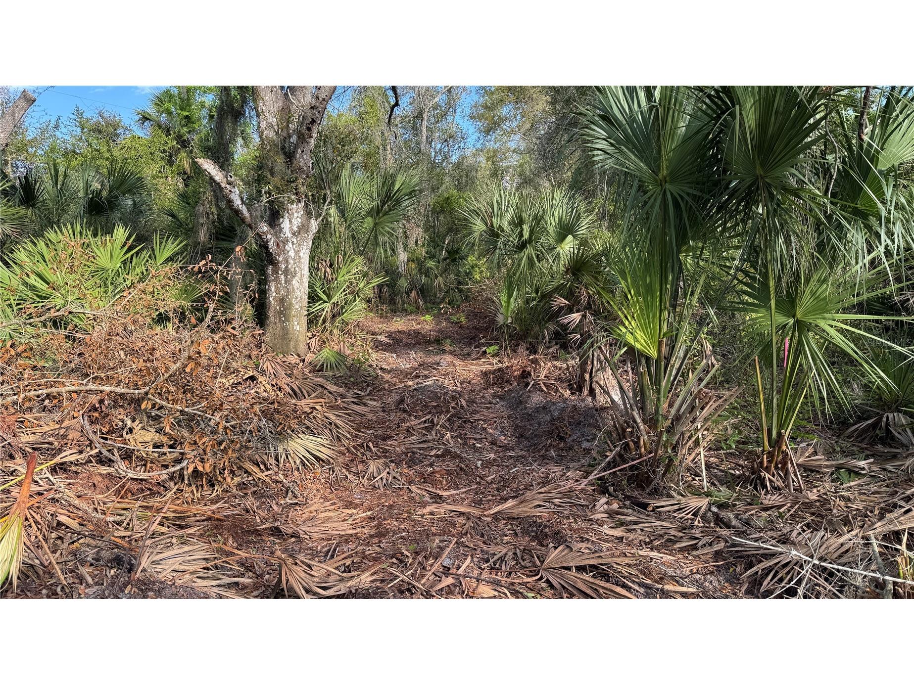 12807 Upper Manatee River Rd Bradenton FL 34212 - Mill Creek A4684752 image7