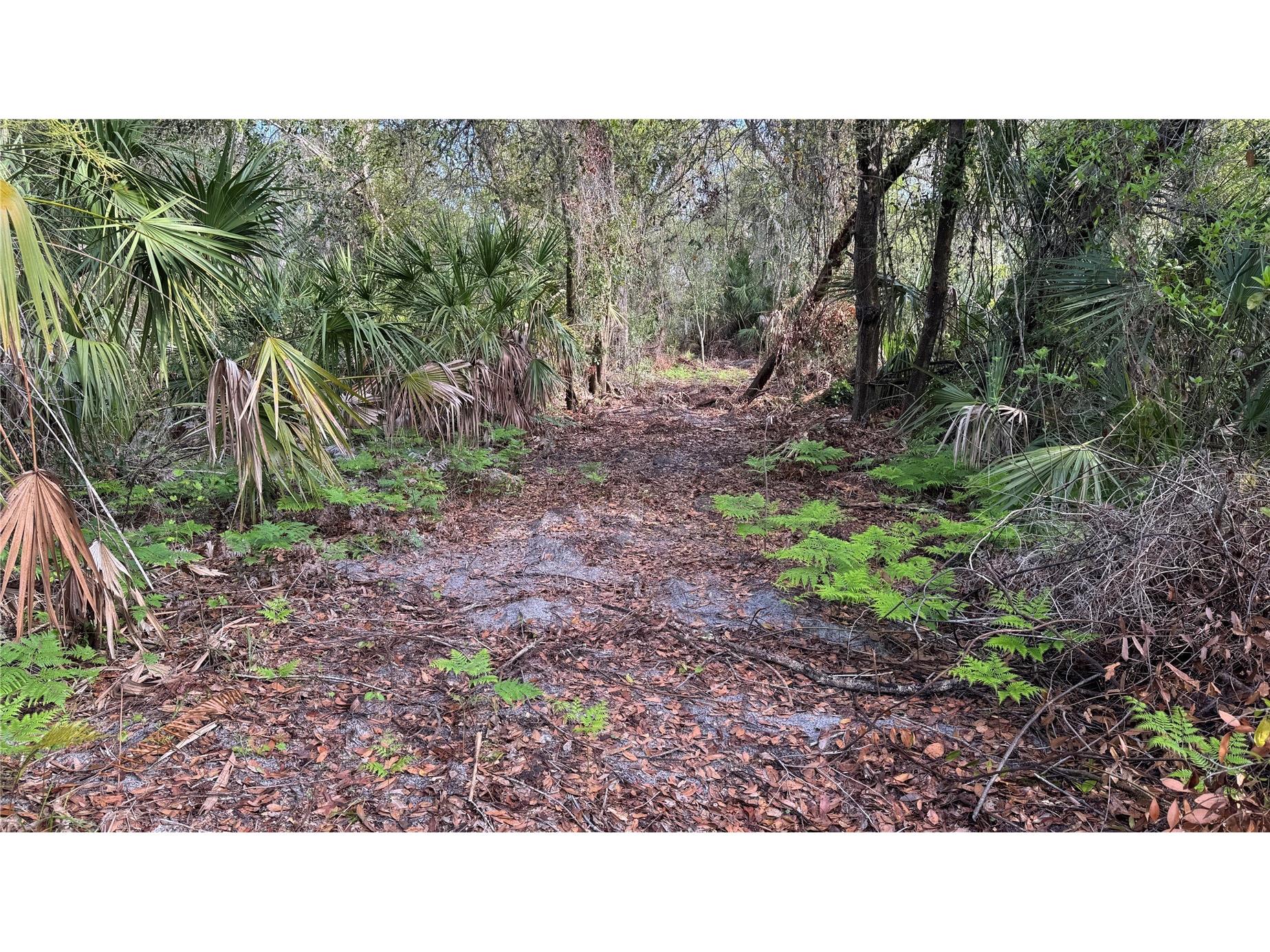 12807 Upper Manatee River Rd Bradenton FL 34212 - Mill Creek A4684752 image8