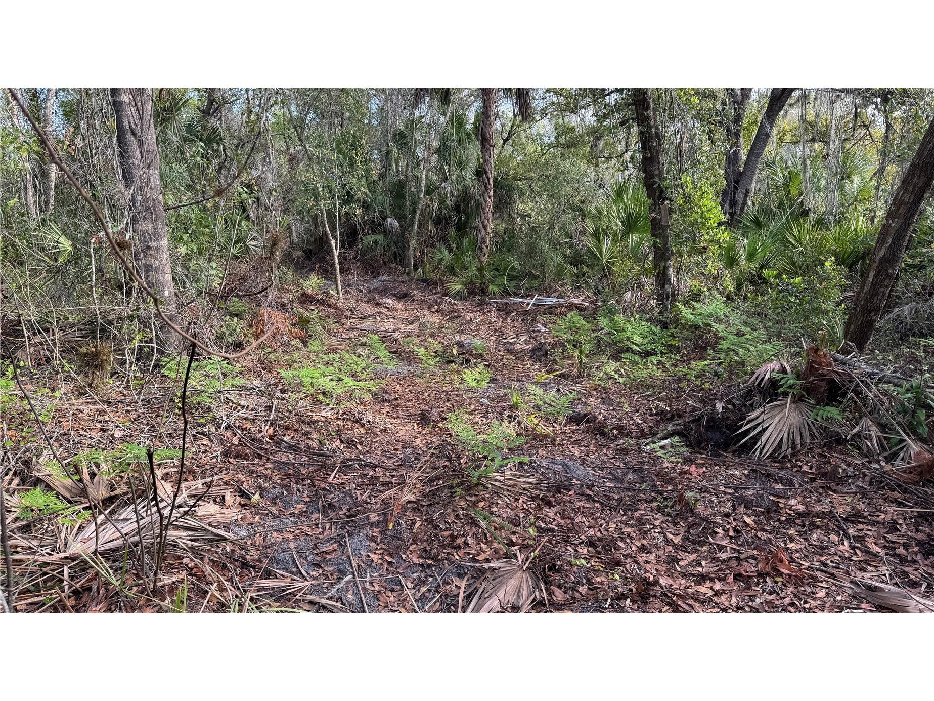 12807 Upper Manatee River Rd Bradenton FL 34212 - Mill Creek A4684752 image9