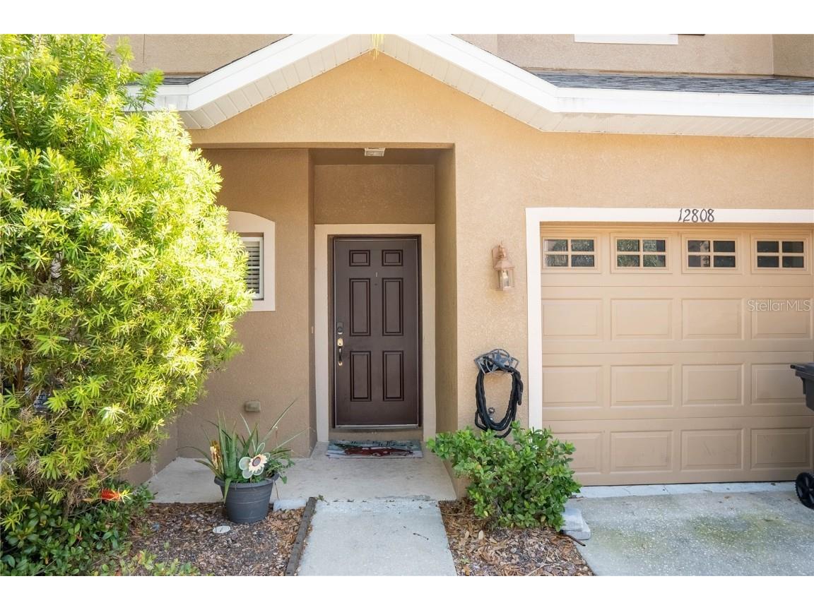 12808 Avelar Manor Place Riverview FL 33578 T3432499 image1