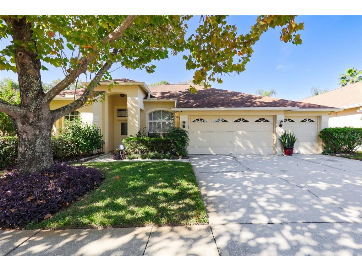 12808 Big Sur Drive Tampa FL 33625 T3484814 image1