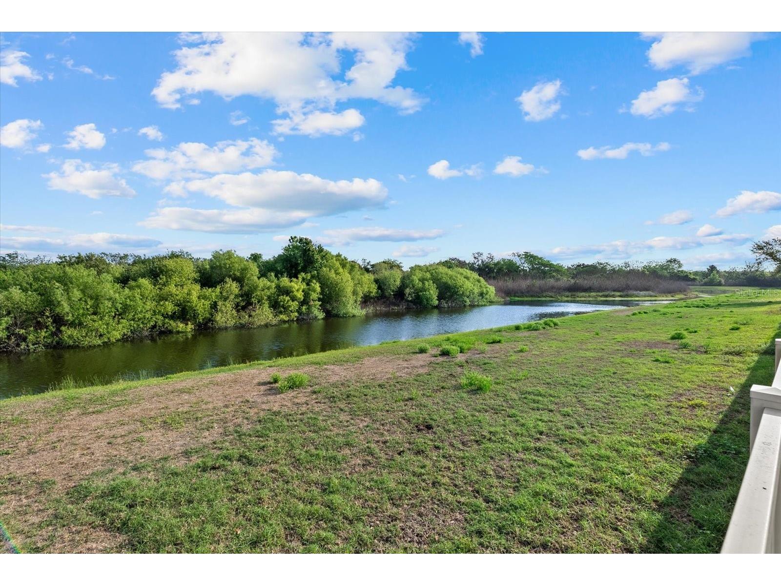 12808 Hampton Hill Drive Riverview FL 33578 A4686815 image35