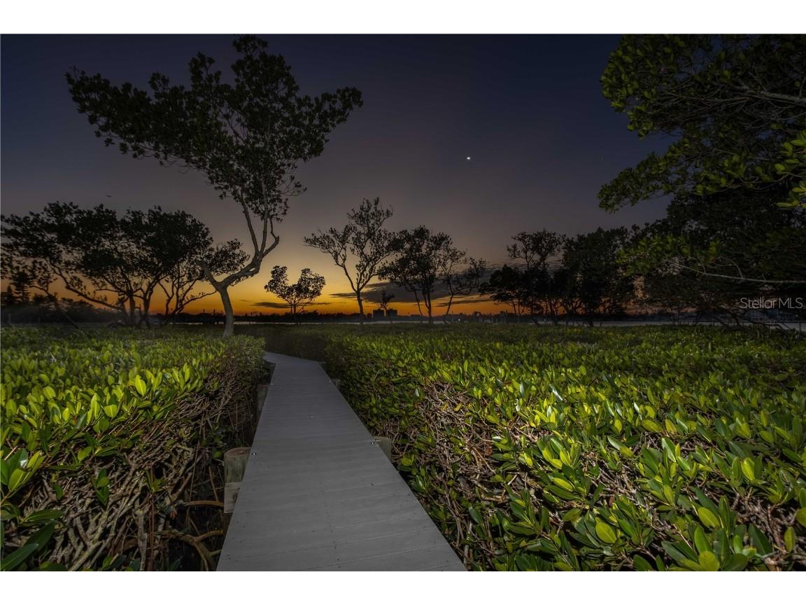 12808 Harborwood Drive Largo FL 33774 - CLEARWATER HARBOR TB8359499 image55