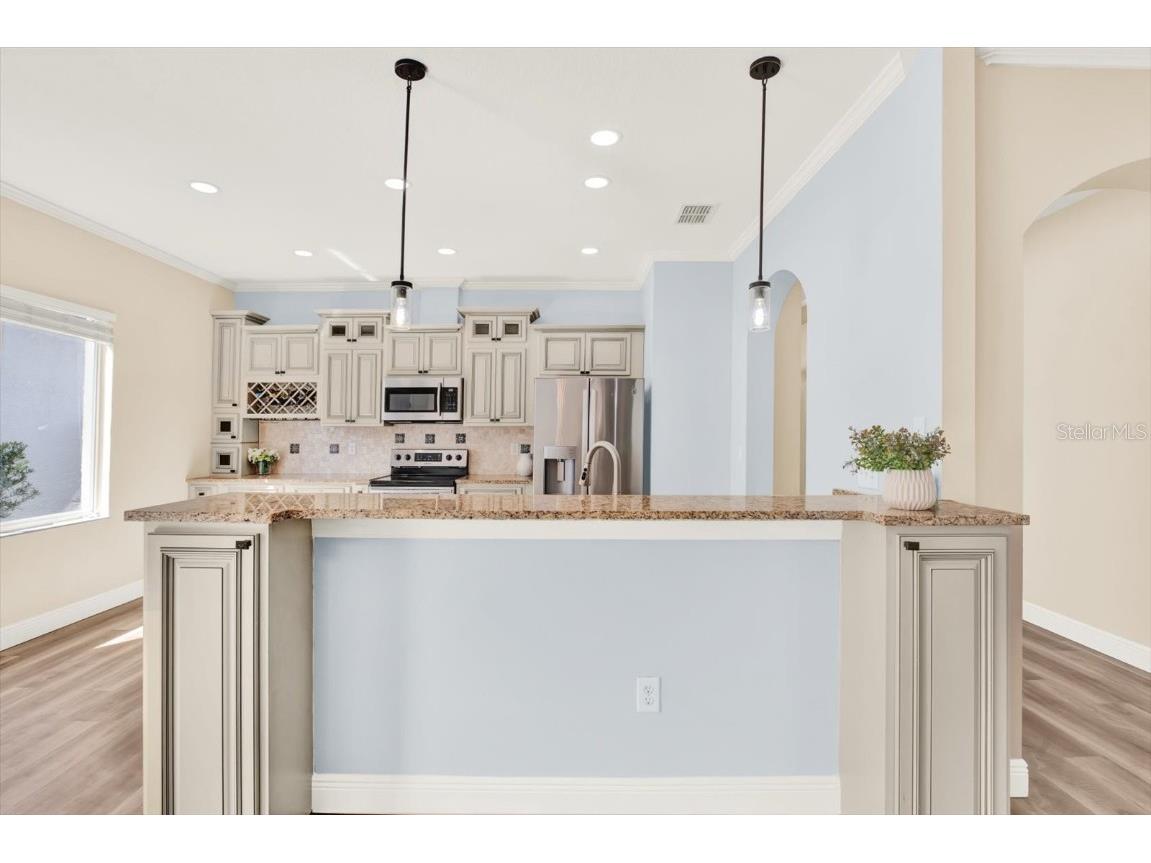 12808 Killarney Court Odessa FL 33556 TB8389014 image16