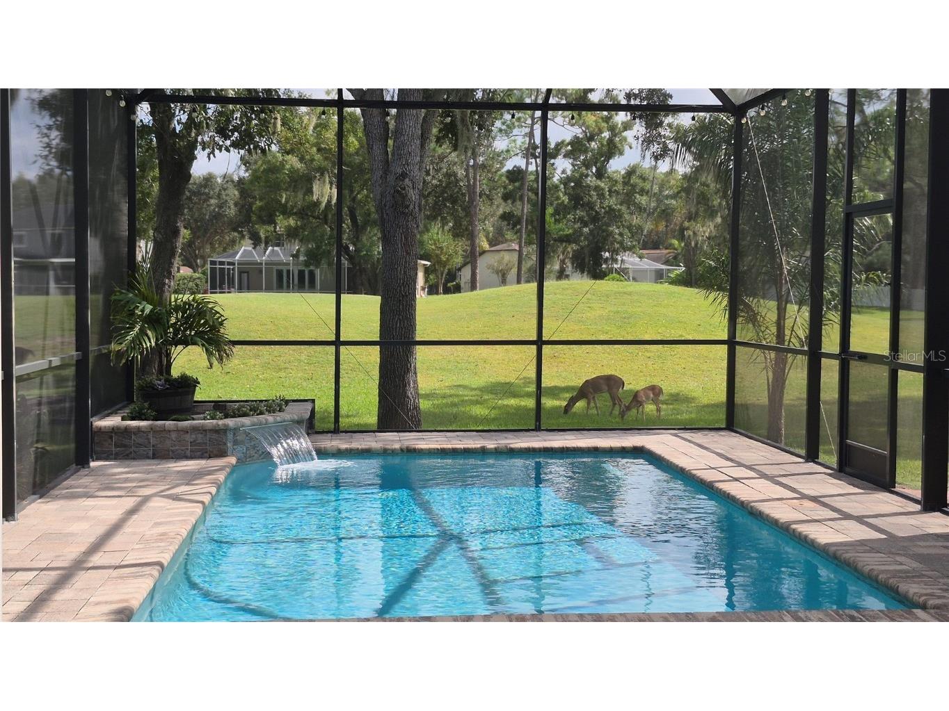 12808 Killarney Court Odessa FL 33556 TB8389014 image37