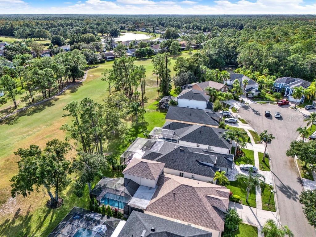 12808 Killarney Court Odessa FL 33556 TB8389014 image40