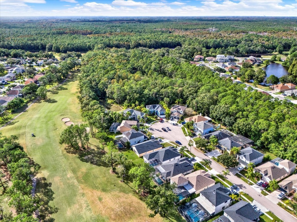 12808 Killarney Court Odessa FL 33556 TB8389014 image42