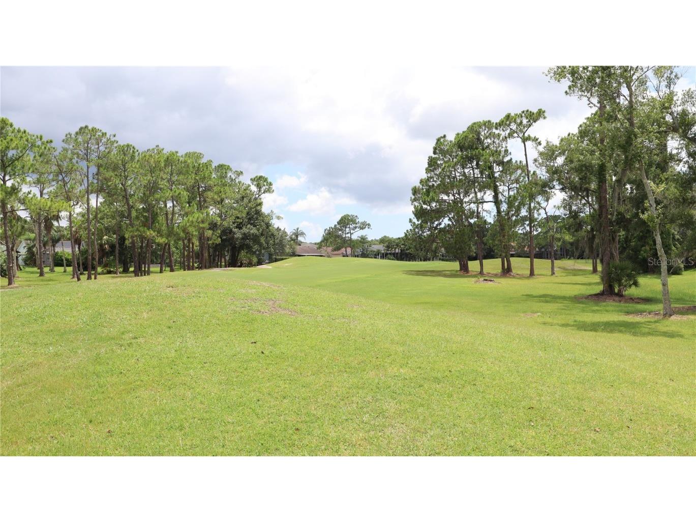 12808 Killarney Court Odessa FL 33556 TB8389014 image44