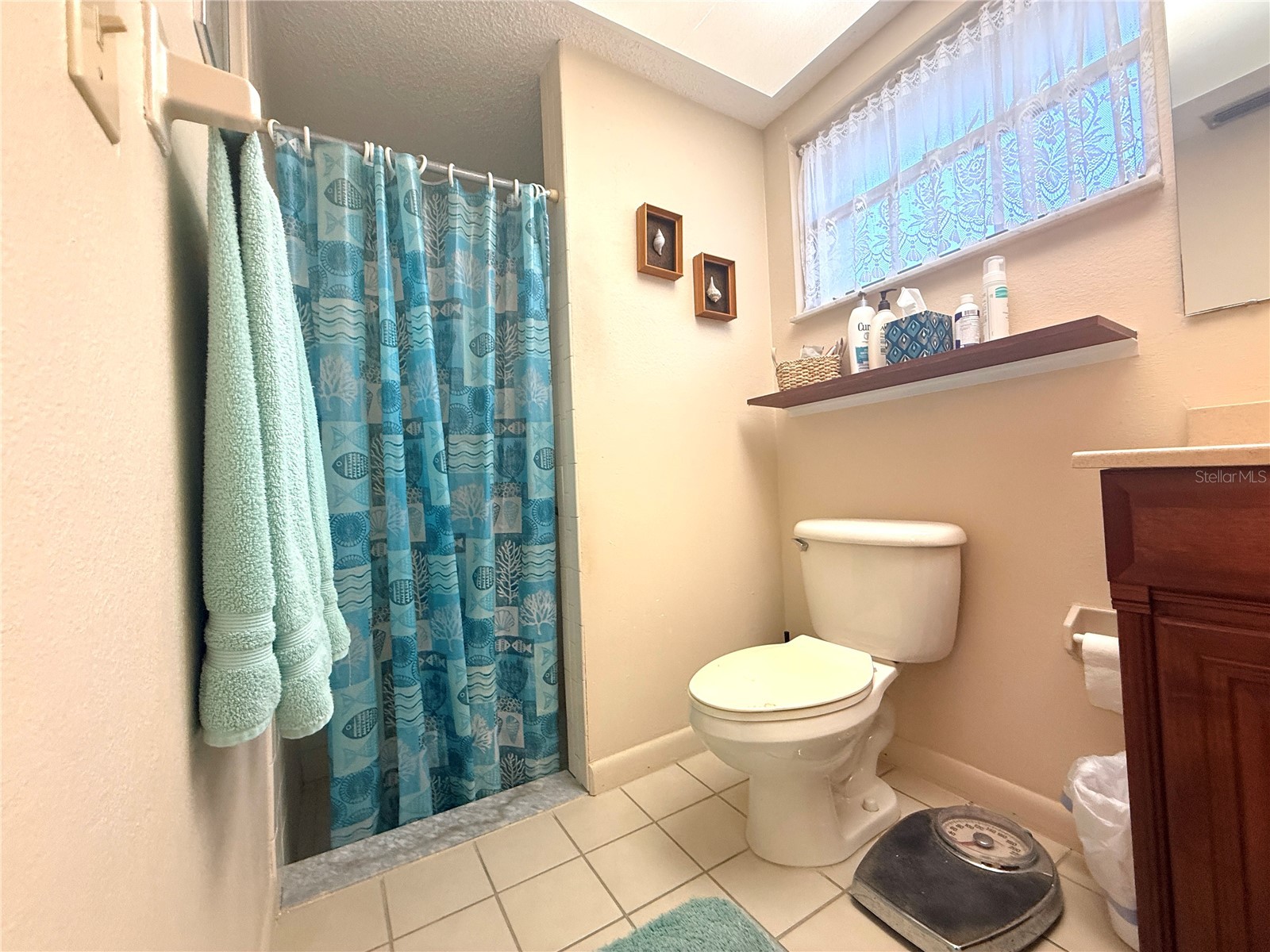 12808 Pinebrook Lane Hudson FL 34667 W7882492 image22