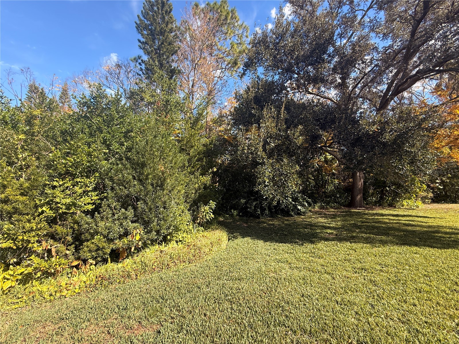 12808 Pinebrook Lane Hudson FL 34667 W7882492 image39