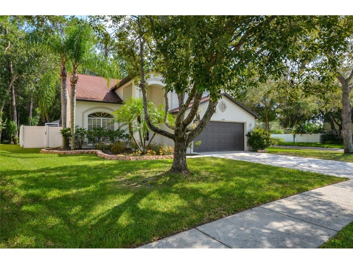 12808 Royal George Avenue Odessa FL 33556 T3468184 image1