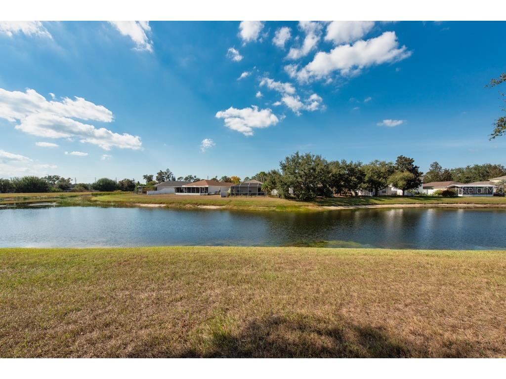 12808 Standbridge Drive Riverview FL 33579 TB8450163 image28