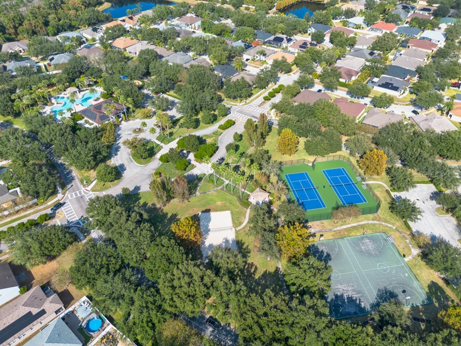 12808 Standbridge Drive Riverview FL 33579 TB8450163 image41