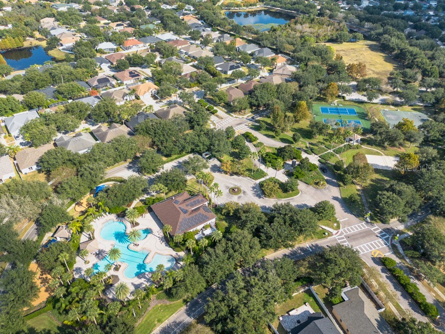 12808 Standbridge Drive Riverview FL 33579 TB8450163 image42