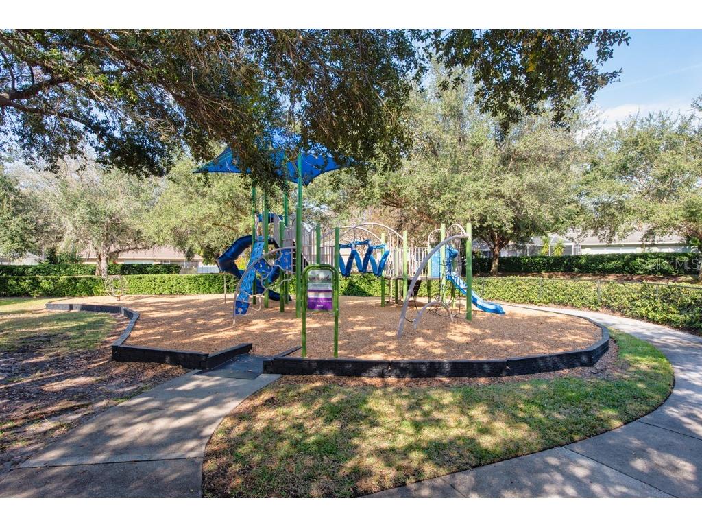 12808 Standbridge Drive Riverview FL 33579 TB8450163 image45