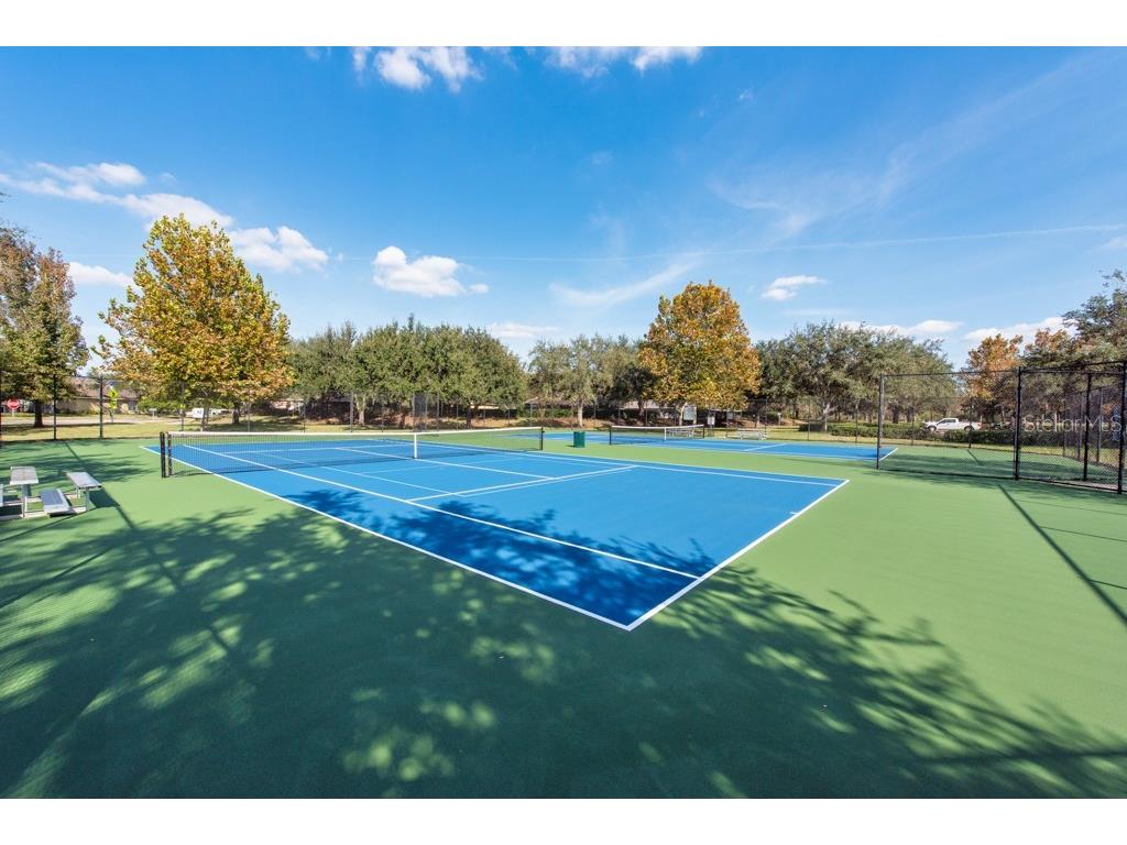 12808 Standbridge Drive Riverview FL 33579 TB8450163 image46