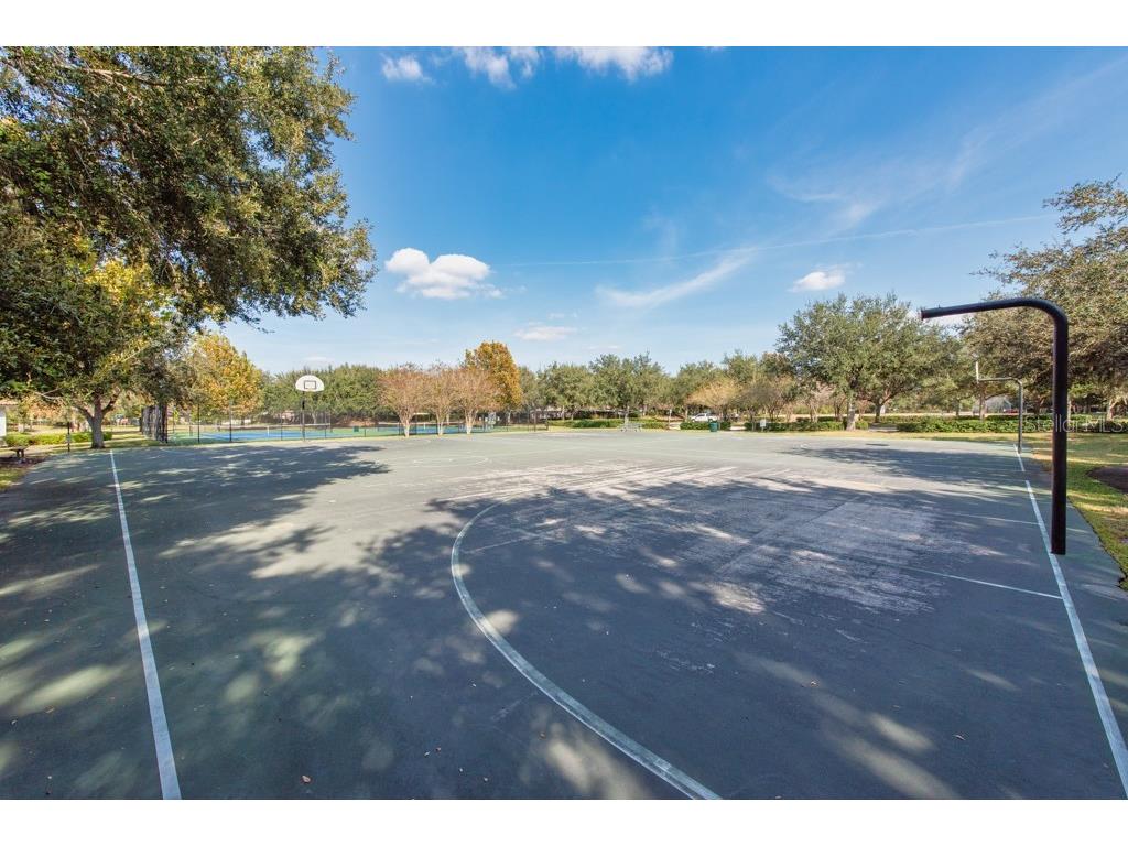 12808 Standbridge Drive Riverview FL 33579 TB8450163 image48