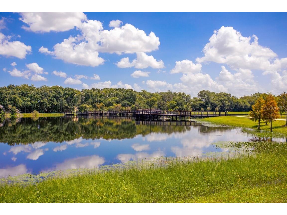 12809 Millridge Forest Street Tampa FL 33624 TB8427968 image36