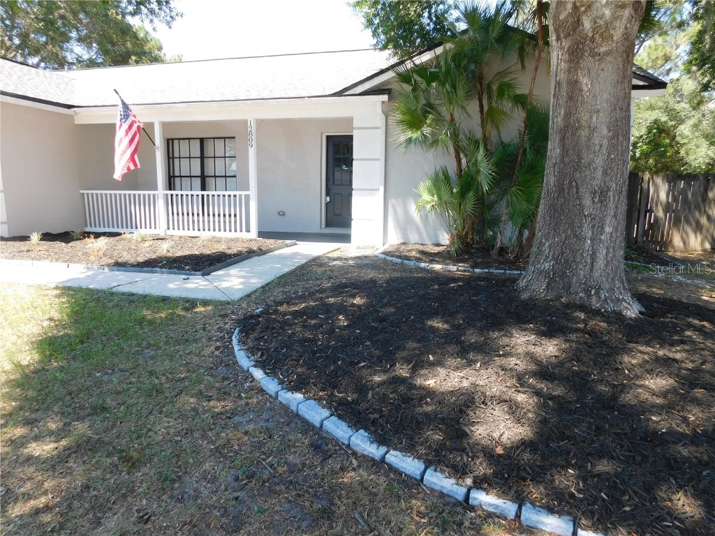 12809 Tallowood Drive Riverview FL 33579 O6214755 image1