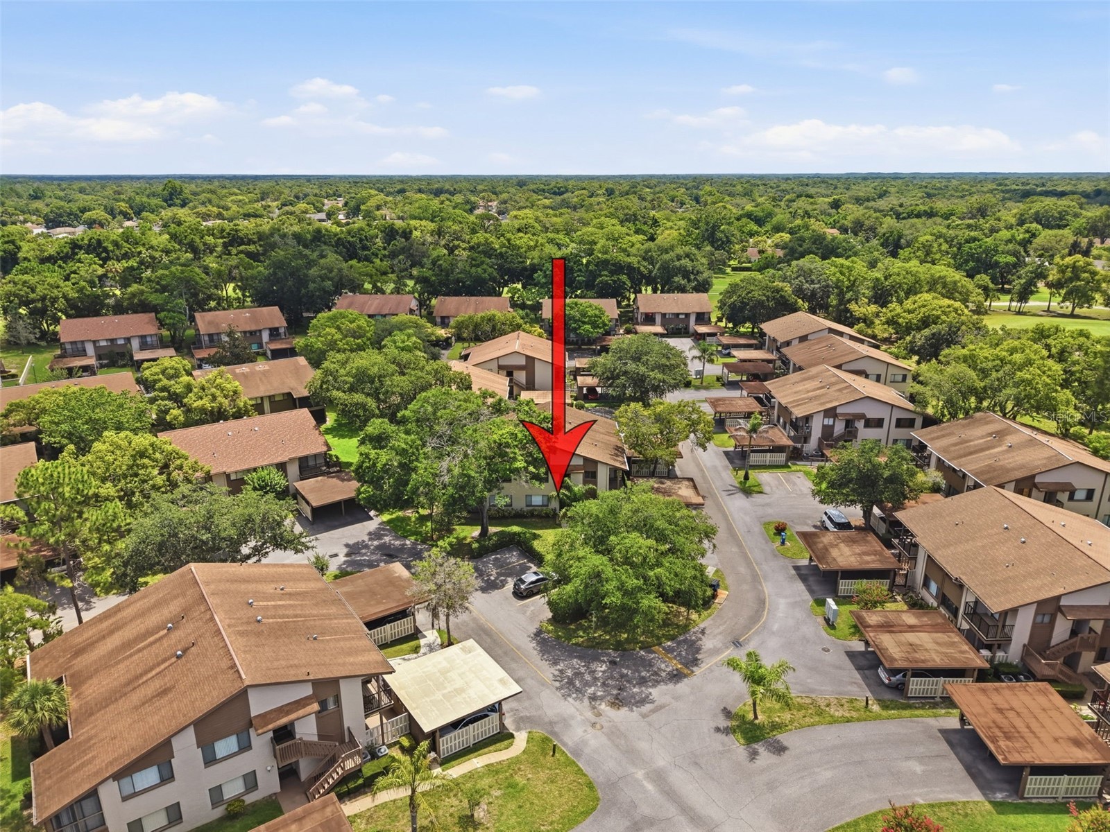 12809 Wedgewood Way #A Hudson FL 34667 W7886684 image66