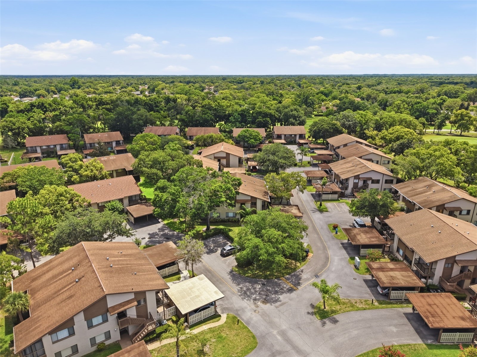 12809 Wedgewood Way #A Hudson FL 34667 W7886684 image67