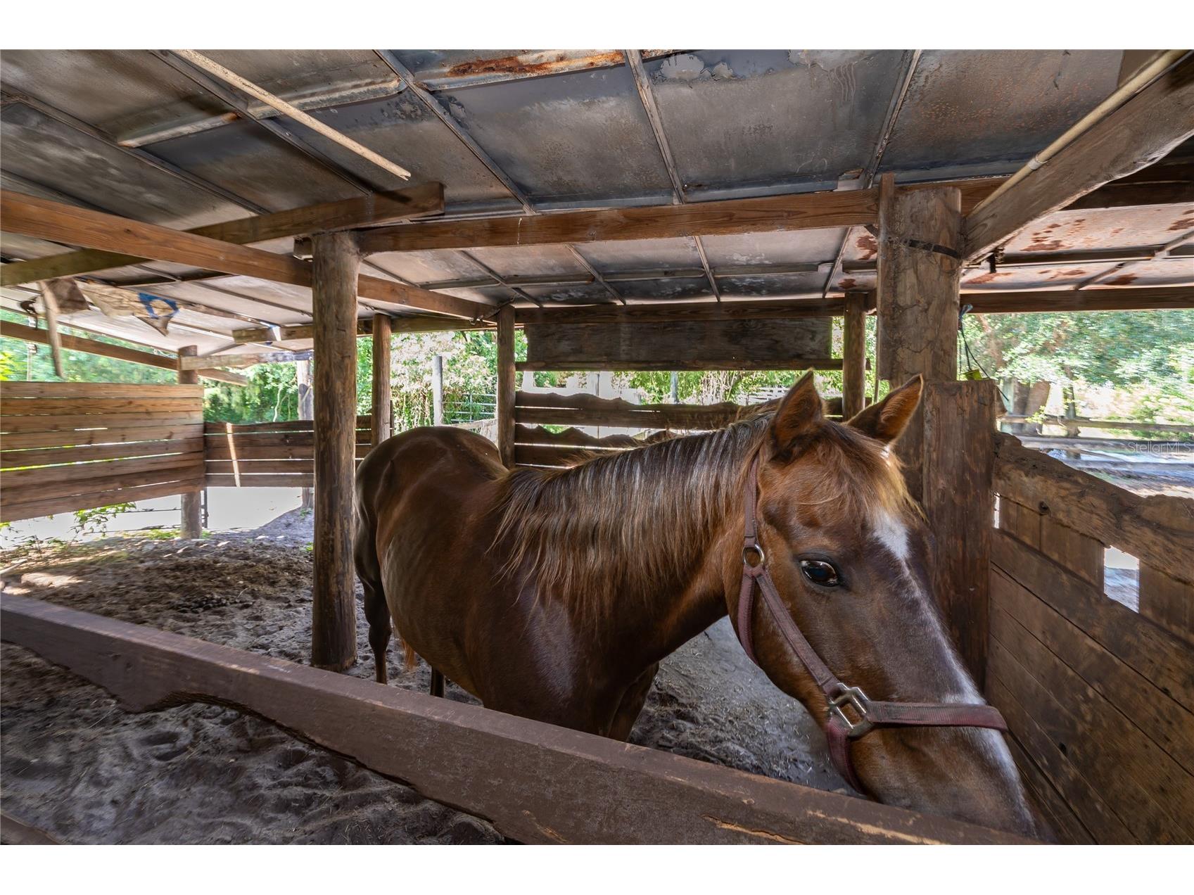 1281 Natures Way Winter Springs FL 32708 O6404018 image38