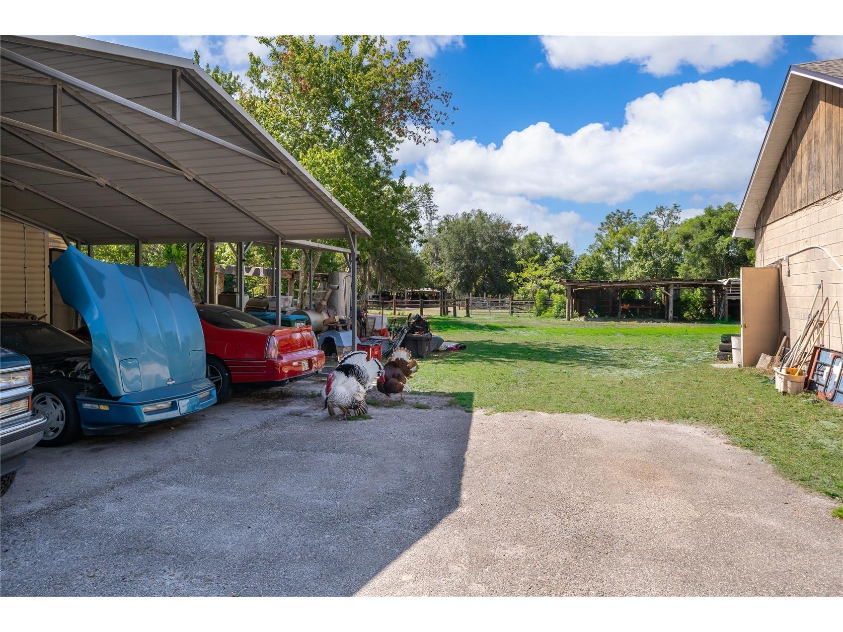 1281 Natures Way Winter Springs FL 32708 O6404018 image9