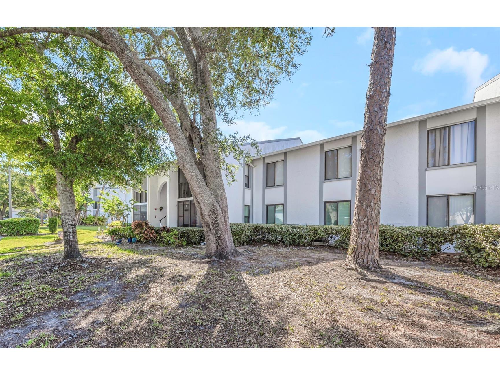 1281 Pine Ridge Circle E #A2 Tarpon Springs FL 34688 TB8504413 image40