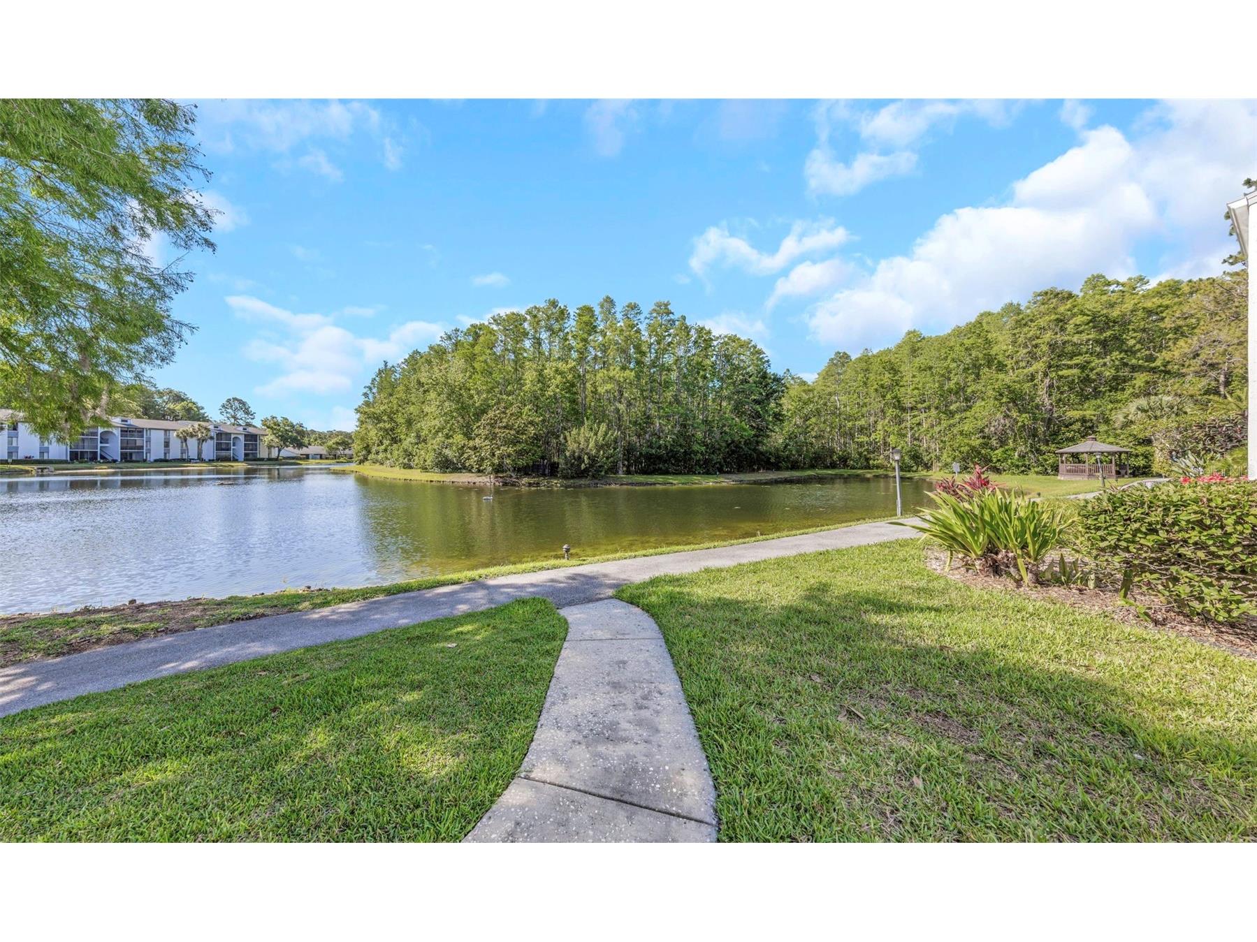 1281 Pine Ridge Circle E #A2 Tarpon Springs FL 34688 TB8504413 image43