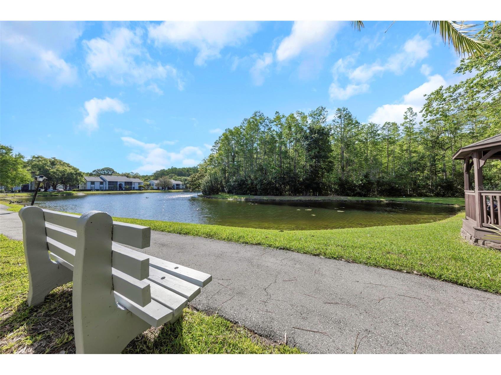 1281 Pine Ridge Circle E #A2 Tarpon Springs FL 34688 TB8504413 image45