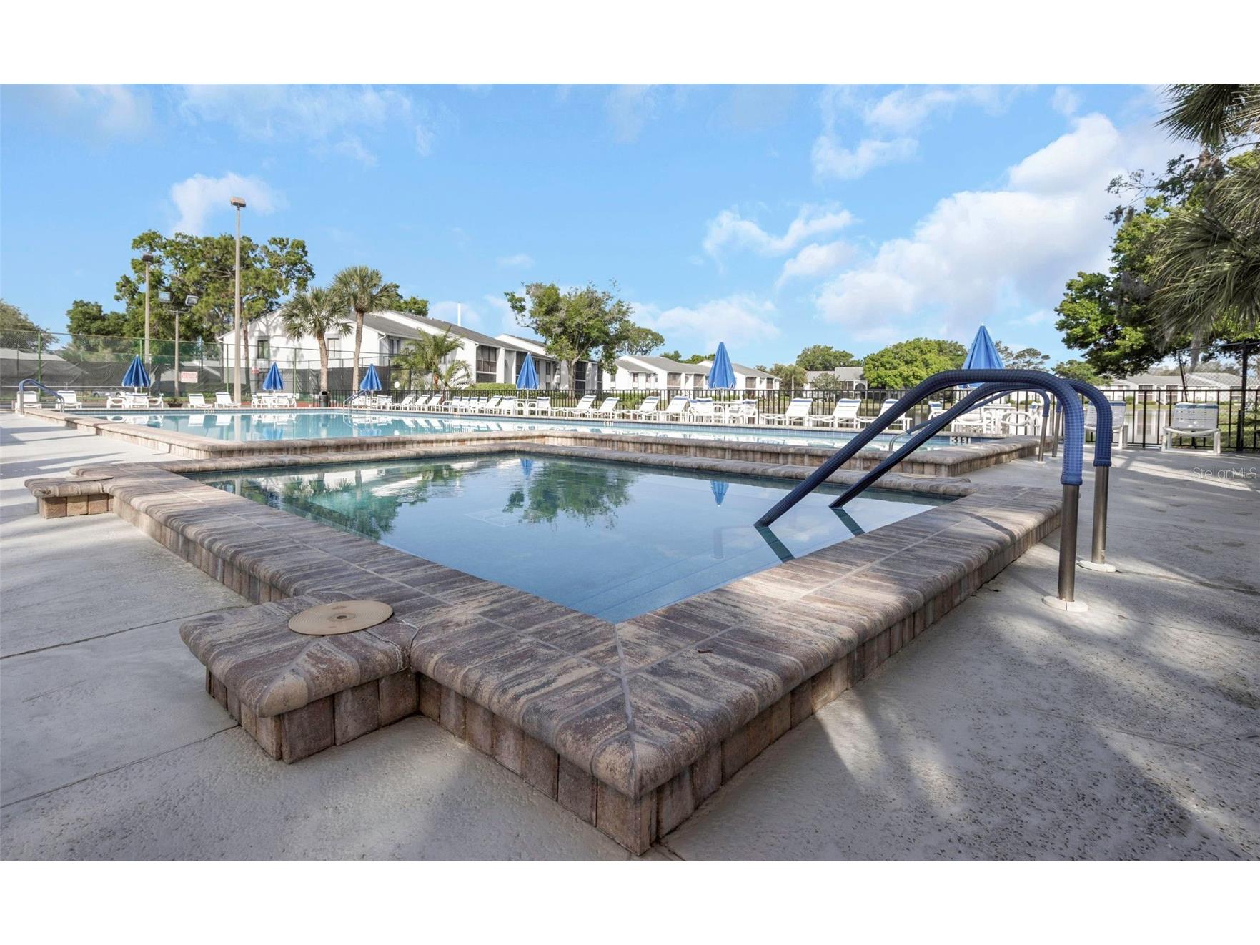 1281 Pine Ridge Circle E #A2 Tarpon Springs FL 34688 TB8504413 image51