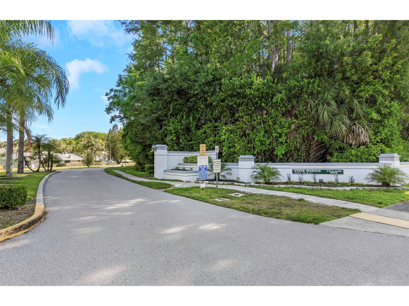 1281 Pine Ridge Circle E #A2 Tarpon Springs FL 34688 TB8504413 image57