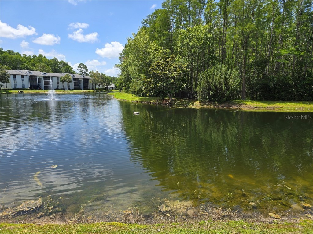 1281 Pine Ridge Circle E #B1 Tarpon Springs FL 34688 TB8396062 image3