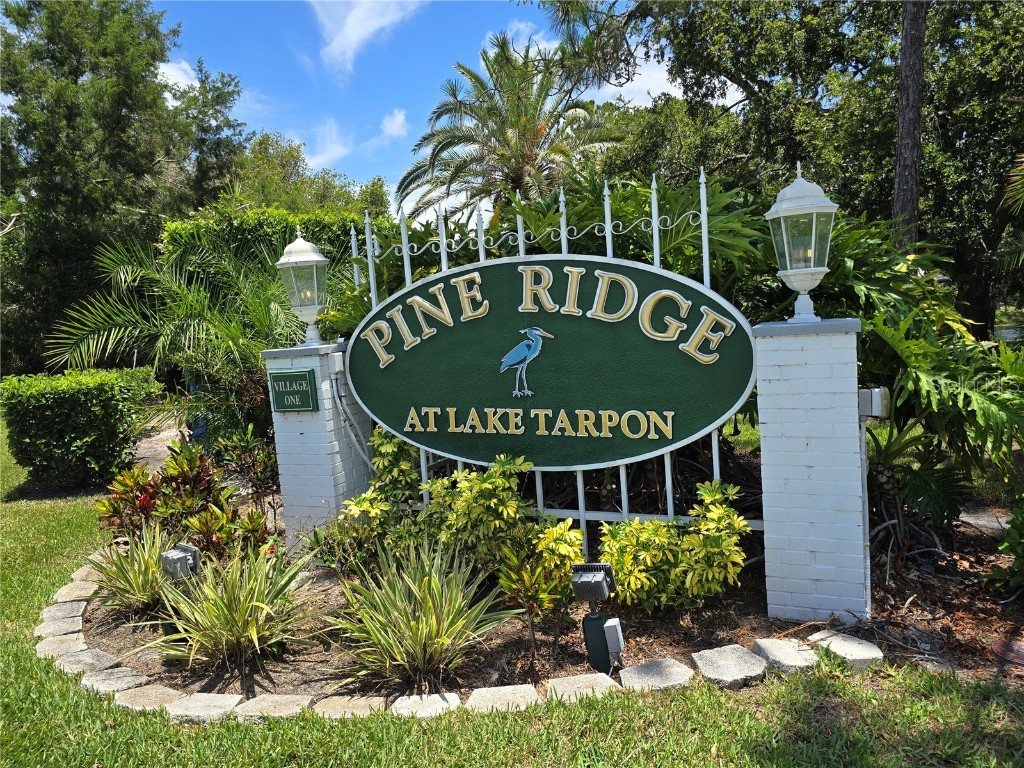 1281 Pine Ridge Circle E #B1 Tarpon Springs FL 34688 TB8396062 image32