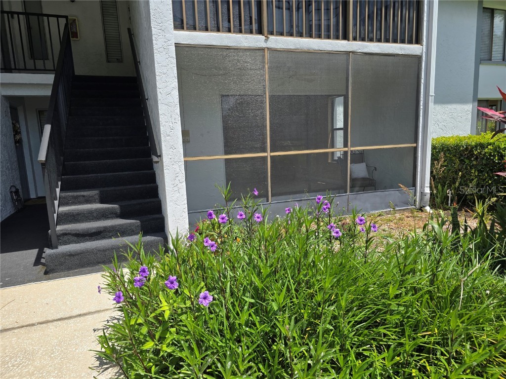 1281 Pine Ridge Circle E #B1 Tarpon Springs FL 34688 TB8396062 image4